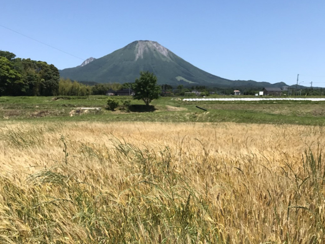 原材料の選定