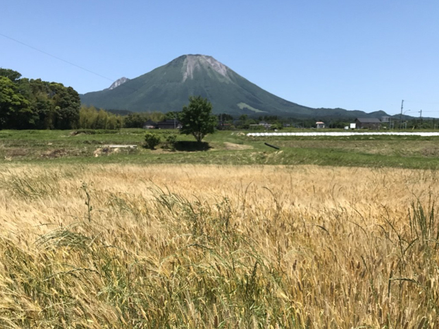 原材料の選定