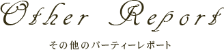 その他のパーティーレポート