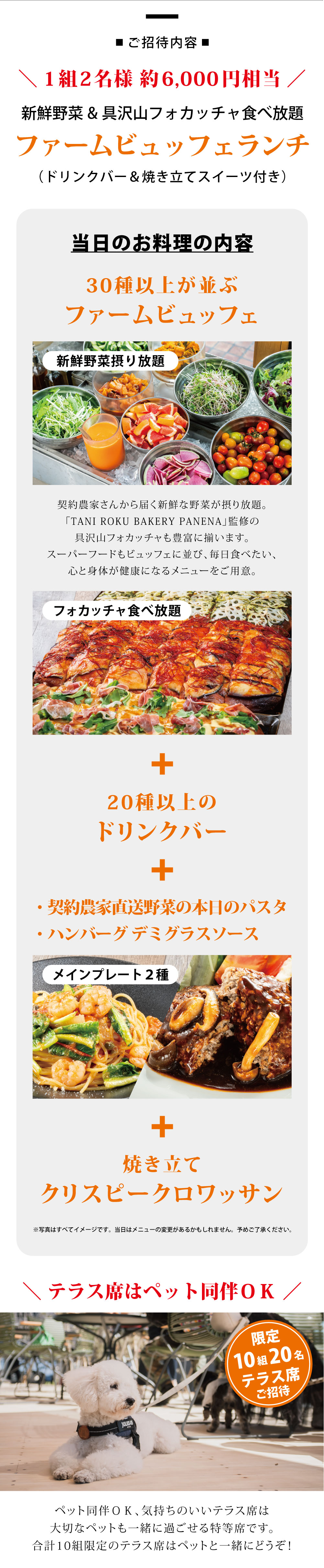 ご招待内容 ＼ 1組2名様 約6,000円相当 ／新鮮野菜&具沢山フォカッチャ食べ放題
ファームビュッフェランチ（ドリンクバー＆焼き立てスイーツ付き）